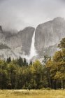 Arbres verts avec cascade brumeuse, parc national Yosemite — Photo de stock