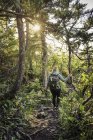 Female hiker hiking in forest, Pacific Rim National Park, Vancouver Island, British Columbia, Canada — Stock Photo
