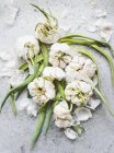 Still life of overgrown garlic cloves — Stock Photo