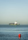 Containership navigando sul fiume Westerschelde, verso il porto di Anversa, Riland, Zelanda, Paesi Bassi — Foto stock