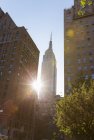 Sunlit view of Empire State building from Park Avenue, New York, USA — Stock Photo