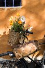 Nahaufnahme eines Fahrrades, das sich mit Futterkörben und Wildblumen an eine mit Baumstämmen bewachsene Wand lehnt — Stockfoto