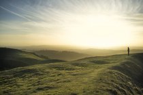 Green rolling hills with silhouette of person in sunset light — Stock Photo