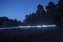 Light trail in forest, at night — Stock Photo