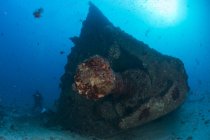 Silhouetted diver exploring unknown wreck, Cancún, Quintana Roo, México - foto de stock