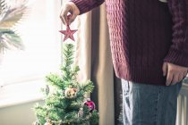 Person putting star on christmas tree — Stock Photo