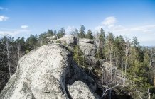 Erhöhte Ansicht der Felsformation mit Kiefernwald und blauem Himmel — Stockfoto