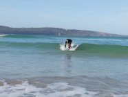 Surfeur en mer, Chevalier de la route, Victoria, Australie — Photo de stock