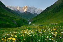 Vista del prado de flores silvestres y la montaña Shkhara, pueblo de Ushguli, Svaneti, Georgia - foto de stock
