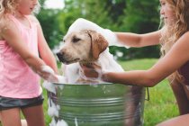 Dos hermanas bañando mascota labrador retriever cachorro - foto de stock