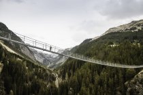 Low angle view of young female hiker crossing footbridge, Holzgau, Tirol, Austria — Stock Photo