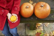 Cropped image of woman sitting with pumpkins on garden bench — Stock Photo