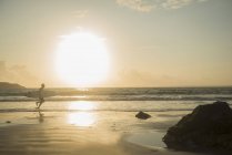 Reifer Mann, rennt in Richtung Meer, hält Surfbrett — Stockfoto