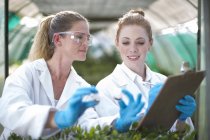 Female scientists monitoring plant samples and recording data — Stock Photo
