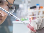 Close up of female scientist pippetting sample into eppendorf tube for analysis in laboratory — Stock Photo