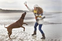 Mediados de la mujer adulta burlas perro en la playa, Bloemendaal aan Zee, Países Bajos - foto de stock