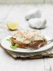 Cóctel de salmón ahumado y salsa de eneldo sobre pan con guarnición de cilantro - foto de stock