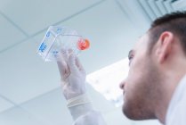 Cancer research laboratory, scientist holding up plastic bottle with cells in solution — Stock Photo