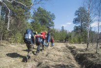 Vista trasera de jóvenes excursionistas con mochilas en pista forestal - foto de stock