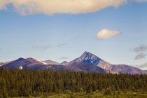 Vista panorâmica de picos montanhosos rodeados de floresta — Fotografia de Stock