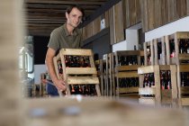 Homem alegre trabalhando em armazém de vinho — Fotografia de Stock