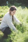 Side view of Young woman gardening — Stock Photo