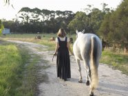 Visão traseira da menina adolescente levando cavalo cinza — Fotografia de Stock