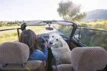 Femme mûre et chien, en voiture décapotable, vue arrière — Photo de stock