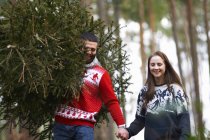 Casal jovem carregando árvore de Natal em ombros em madeiras — Fotografia de Stock