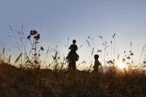 Silhouettes of father and sons walking in field — Stock Photo