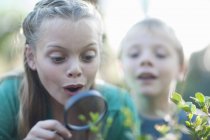 Brother and sister looking at plants with magnifying glass in garden — Stock Photo