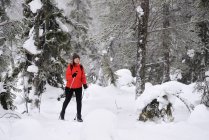 Junge Frau beim Nordic Walking durch verschneite Wälder, posio, Lappland, Finnland — Stockfoto