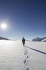 Задній вид чоловічого мандрівного і сніг будинків, Jungfrauchjoch, висоті, Швейцарія — стокове фото