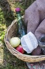 Picnic basket with apples and bottle of water — Stock Photo