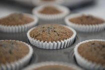 Close up shot of baked cupcakes in baking tray — Stock Photo