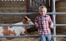 Портрет мальчика в сарае с коровой — стоковое фото