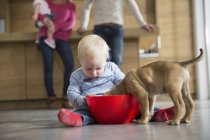 Мужской малыш наблюдает за кормлением щенка из миски в столовой — стоковое фото
