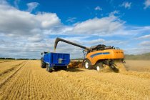 Combine cosechadora y tractor, cosechando trigo - foto de stock