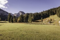 Paysage avec forêt et montagnes, Bavière, Allemagne — Photo de stock