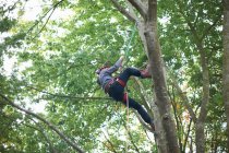 Young male trainee tree surgeon climbing tree trunk — Stock Photo
