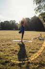 Femme mûre dans le parc, debout sur une jambe, en position yoga, vue arrière — Photo de stock
