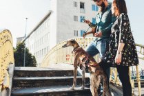 Прохолодна пара з собакою на пішохідному мосту дивиться на смартфон — стокове фото