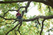 Trainee teenage male tree surgeon standing on tree branch — Stock Photo