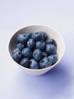 Close-up view of fresh ripe blueberries in white bowl — Stock Photo