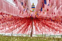 Reihen pinkfarbener Gebetsfahnen am Wakietalin-Tempel, Sichuan, China — Stockfoto