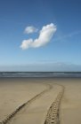 Пляж з автомобільними коліями, Gravelines, Nord-Pas-de-Calais, Франція — стокове фото
