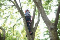 Young male trainee tree surgeon looking up from tree trunk — Stock Photo