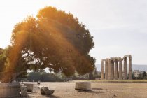 Ruínas do olympieion, Atenas, Attiki, Greece, Europa — Fotografia de Stock