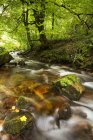 Time lapse view of rocky creek — Stock Photo