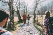 Vista traseira de amigos pedregulhos adultos caminhando ao longo da pista de terra, Lombardia, Itália — Fotografia de Stock